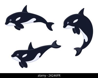 Set von Cartoon Killer Wal. Vektor-Illustration von niedlichen Cartoon-Sammlung von Killerwalen, Orcas isoliert auf weiß. Flaches Design. Stock Vektor