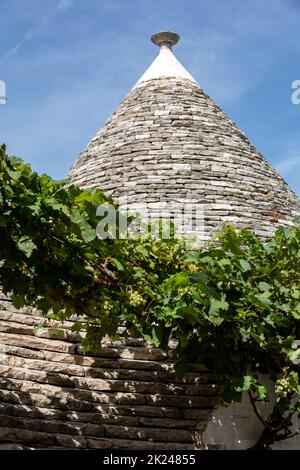 Weinreben auf dem Stein Dach von Trulli in Alberobello, Italien. Der Baustil ist spezifisch für die murge Bereich der italienischen Region ein Stockfoto