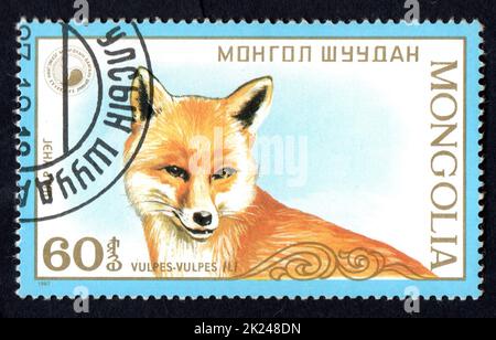 MONGOLEI - UM 1987: Eine in der Mongolei gedruckte Briefmarke zeigt Vulpes Red Fox um 1987. Rotfuchs auf Briefmarke Stockfoto