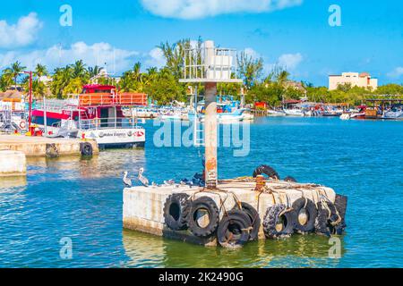 Holbox Mexiko 21. Dezember 2021 Panorama-Landschaft auf Holbox Insel mit Booten Holbox Express Fähre Dorf Hafen Muelle de Holbox Möwen Stockfoto