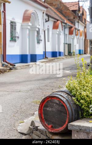 Terezin Weinkeller, Südmähren, Tschechische Republik Stockfoto