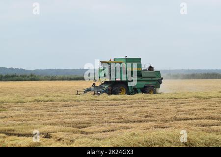 Russland, Poltavskaya Dorf - 6. September 2015: Mähdrescher Don Agricultural Machinery Stockfoto