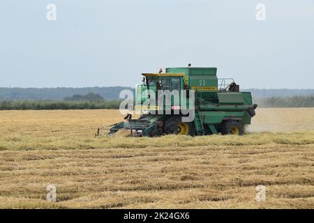 Russland, Poltavskaya Dorf - 6. September 2015: Mähdrescher Don Agricultural Machinery Stockfoto