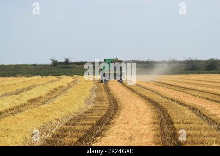 Russland, Poltavskaya Dorf - 6. September 2015: Mähdrescher Don Agricultural Machinery Stockfoto