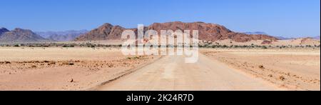 Landschaft mit einer Herde Springböcke in der Namib-Wüste, Namibia, Afrika. Stockfoto