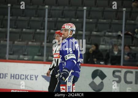 Will Weber (SERC Wild Wings) beim Spiel der DEL, 43. Sptg.: SERC Wild Wings gegen ERC Panther Ingolstadt Stockfoto