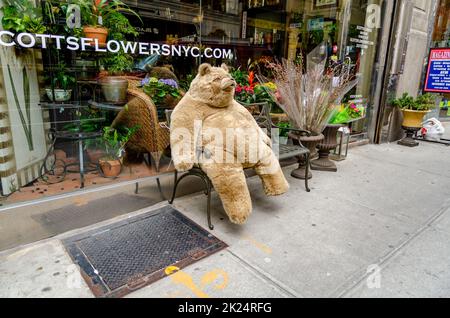 Riesiger brauner Teddybär, der auf einer Bank vor dem Scotts Flowers New York City-Einzelhandelsgeschäft sitzt, horizontal Stockfoto