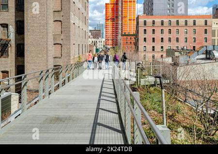 Der High Line Park, New York City, Steel Bridge mit Leuten, die während des bewölkten Wintertages darauf spazieren, Wiese mit Bäumen neben der Brücke, Office Build Stockfoto