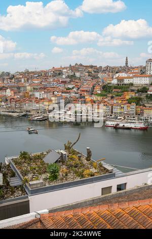 porto, Portugal, März 2022. Ein Dachgarten auf dem Dach eines Hauses am Ufer des Douro Flusses im Stadtzentrum Stockfoto