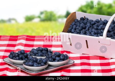 Nahaufnahme von frischen Heidelbeeren, gefüllt in einem Papierkorb und einem Teller mit vier Schüsseln auf einer rot karierten Serviette über einer abstrakt verschwommenen Sommerlandschaft. Konz Stockfoto