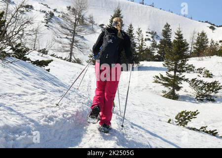 Schneeschuh-Wandern auf dem Feuerkogel im Salzkammergut (Bezirk Gmunden, Oberösterreich, Österreich) - Schneeschuhwanderer am Feuerkogel im S Stockfoto