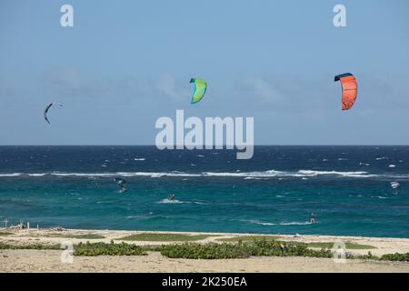 BOCA GRANDI, ARUBA - 17. DEZEMBER 2020: Kite- und Flügelsurfer am Boca Grandi Strand an der südöstlichen Küste der Karibikinsel Aruba in der Nähe Stockfoto