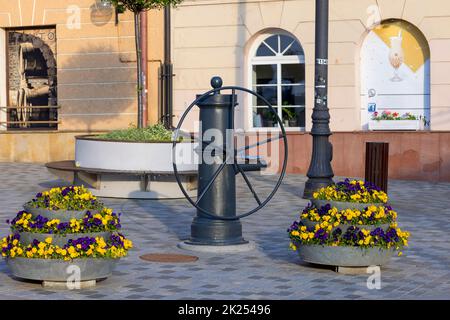 Lublin, Polen - 23. Mai 2022: Vogelbrunnen aus dem 19.. Jahrhundert mit einem Trinker am Lokietka-Platz, neben dem Krakowska-Tor Stockfoto