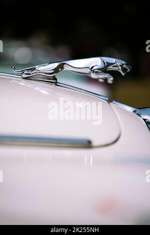 Como, Italien - 22. Mai 2022: Nahaufnahme einer illustrativen redaktionellen Abbildung der Jaguar-Logo-Statuette auf einem Auto. Stockfoto