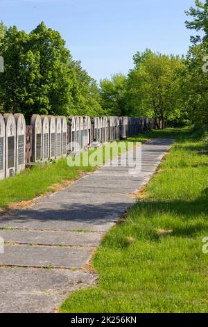 Lublin, Polen - 24. Mai 2022: Neuer jüdischer Friedhof, Reihe mit vielen jüdischen Gräbern mit Matzewa und Epitaphen Stockfoto