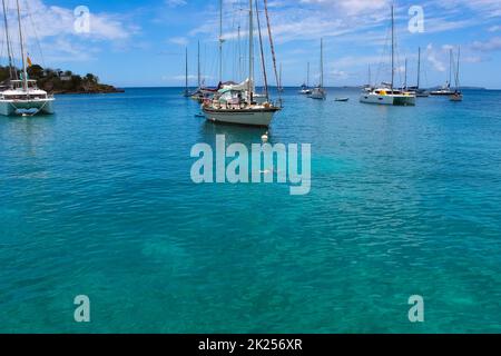 Die Menschen beim Schnorcheln unter Wasser und Angeln Tour mit dem Boot an der Karibik in St. Thomas, USVI in US Virgin Islands - Reisekonzept Stockfoto