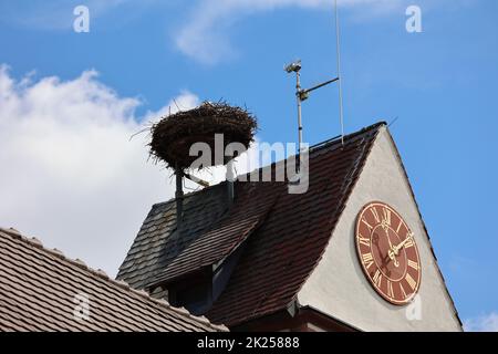 Kirchturmuhr mit Storchennest und Storch auf dem Kirchturm von Gundelfingen (Landkreis Breisgau-Hochschwarzwald) Stockfoto