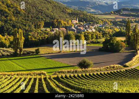 Dorf Valserres und Weinberge im Herbst. Weingut und Weinreben in den Hautes-Alpes, Alpen, Frankreich Stockfoto