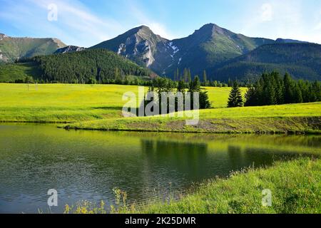 Havran und Zdiarska vidla, die beiden höchsten Berge in der Belianske Tatry. Ein Teich und eine blumige Wiese davor. Slowakei. Stockfoto