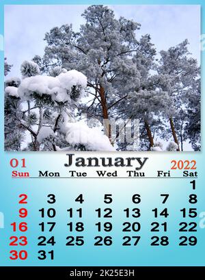 Januar 2022 Kalender für Organisatoren zur Planung und Erinnerung an den Naturhintergrund Stockfoto