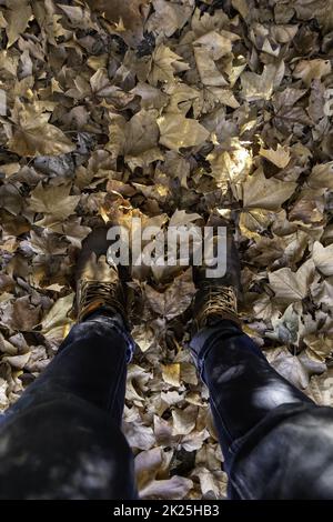 Füße auf Herbstblättern Stockfoto