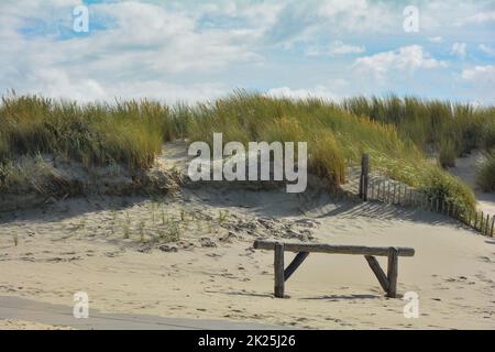 Holztor am Sandstrand vor den Dünen Stockfoto
