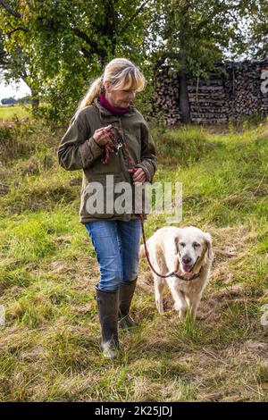 Dog-Trainerin mit Golden Retriever Stockfoto