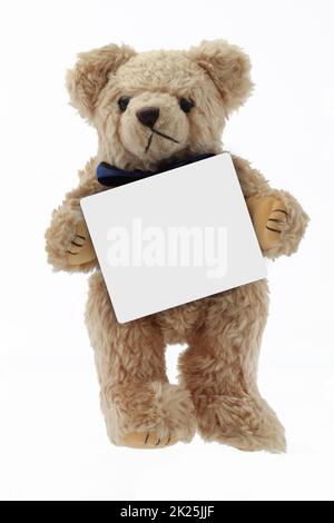 Niedlicher Teddybär mit leerem Textbereich Stockfoto