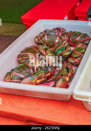 Meeresfrüchte lebende Krabben Muscheln Krebstiere thailändischer Markt China Town Bangkok. Stockfoto