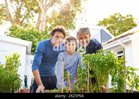 Drei Generationen von Gärtnern. Porträt eines Jungen, der mit seinem Vater und Großvater im Garten arbeitet. Stockfoto