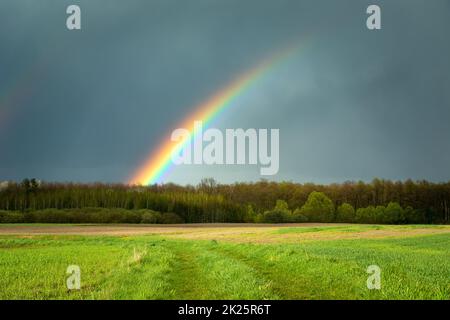 Regenbogen über dem Wald und der grünen Wiese, Czulczyce, Polen Stockfoto