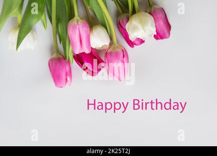 Herzlichen Glückwunsch zum Geburtstag. Wunderschönes Frühlingsbouquet mit pinkfarbenen und weißen Tulpen auf weißem Hintergrund. Postkarte fertig. Stockfoto