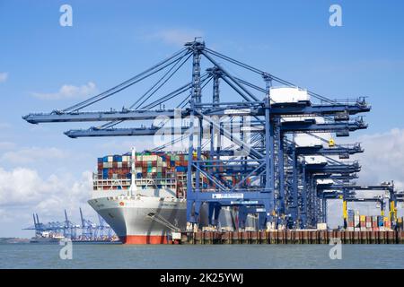 OOCL HONG KONG Containerschiff mit Container beladen Hafen von Felixstowe Container Hafen Felixstowe Hafen Felixstowe Suffolk England GB Stockfoto