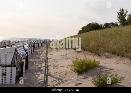 Der Blick auf den Strand von Zempin auf der Insel Usedom mit vielen Liegen Stockfoto