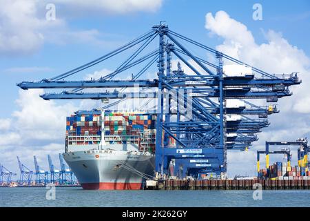 OOCL HONG KONG Containerschiff dockt im Hafen von Felixstowe beladen mit Transportcontainern Felixstowe Port Felixstowe Suffolk England GB Europa Stockfoto