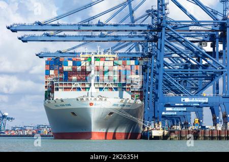 OOCL HONG KONG Containerschiff dockt im Hafen von Felixstowe beladen mit Transportcontainern Felixstowe Port Felixstowe Suffolk England GB Europa Stockfoto