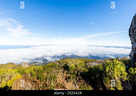 Achada do Teixeira auf der Insel Madeira Stockfoto