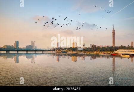 Vogelschwarm über dem Nil Stockfoto