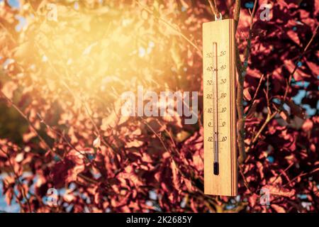 Das Thermometer auf einem Baum zeigt eine Minus-Temperatur an Stockfoto