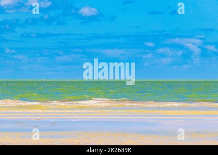 Natürliche Holbox Insel Strand Sandbank Panorama türkis Wasser Wellen Mexiko. Stockfoto