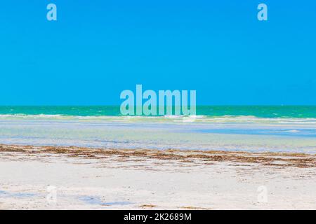 Natürliche Holbox Insel Strand Sandbank Panorama türkis Wasser Wellen Mexiko. Stockfoto
