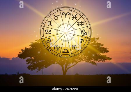 Tierkreiszeichen innerhalb des Horoskopkreises Astrologie und Horoskope Konzept Stockfoto