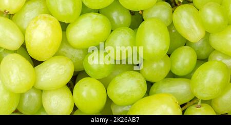 Grüne Trauben Trauben Trauben Früchte Hintergrund von oben Panorama Stockfoto