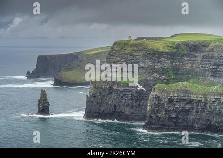 Gannet, Seevögel, die über die berühmten Cliffs of Moher, Irland, fliegen Stockfoto