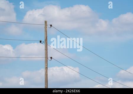 Ältere hölzerne Stromübertragungsleitung über dem Kopf durch die Landschaft Stockfoto