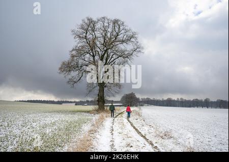 Winter in den Ausläufern der Alpen Stockfoto