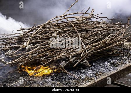 Detail der brennenden Weinstöcke, um ein Barbecue zu machen Stockfoto