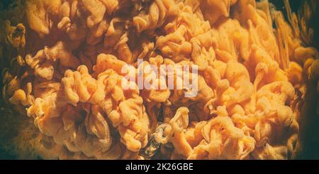 Farbige Tinte, die sich in Wasser ausdehnt. Stockfoto