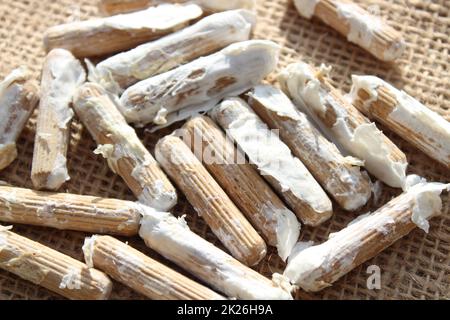 Holzdübel für den Pilzanbau Stockfoto