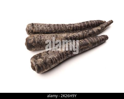 Organische schwarze Karotten auf weißem Hintergrund Stockfoto